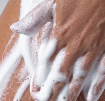 Hand & Body Wash, Ginger & Smoky Cardamom
