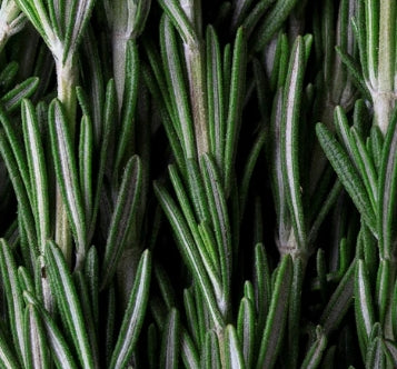 Deep Cleanse Scalp Scrub, Rosemary & Mint