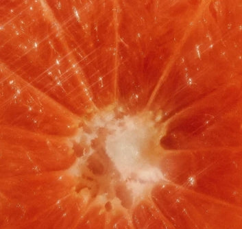 Hand & Body Wash, Grapefruit